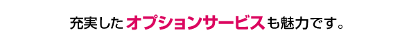 充実したオプションサービスも魅力です。