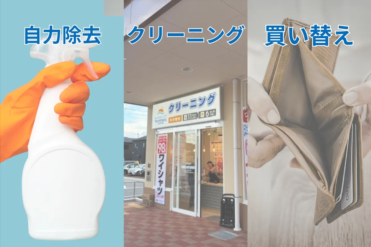 【布団のカビ】自力除去・クリーニング・買い替えの判断基準