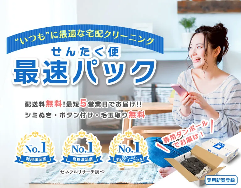 せんたく便紹介バナー｜10点最速パック