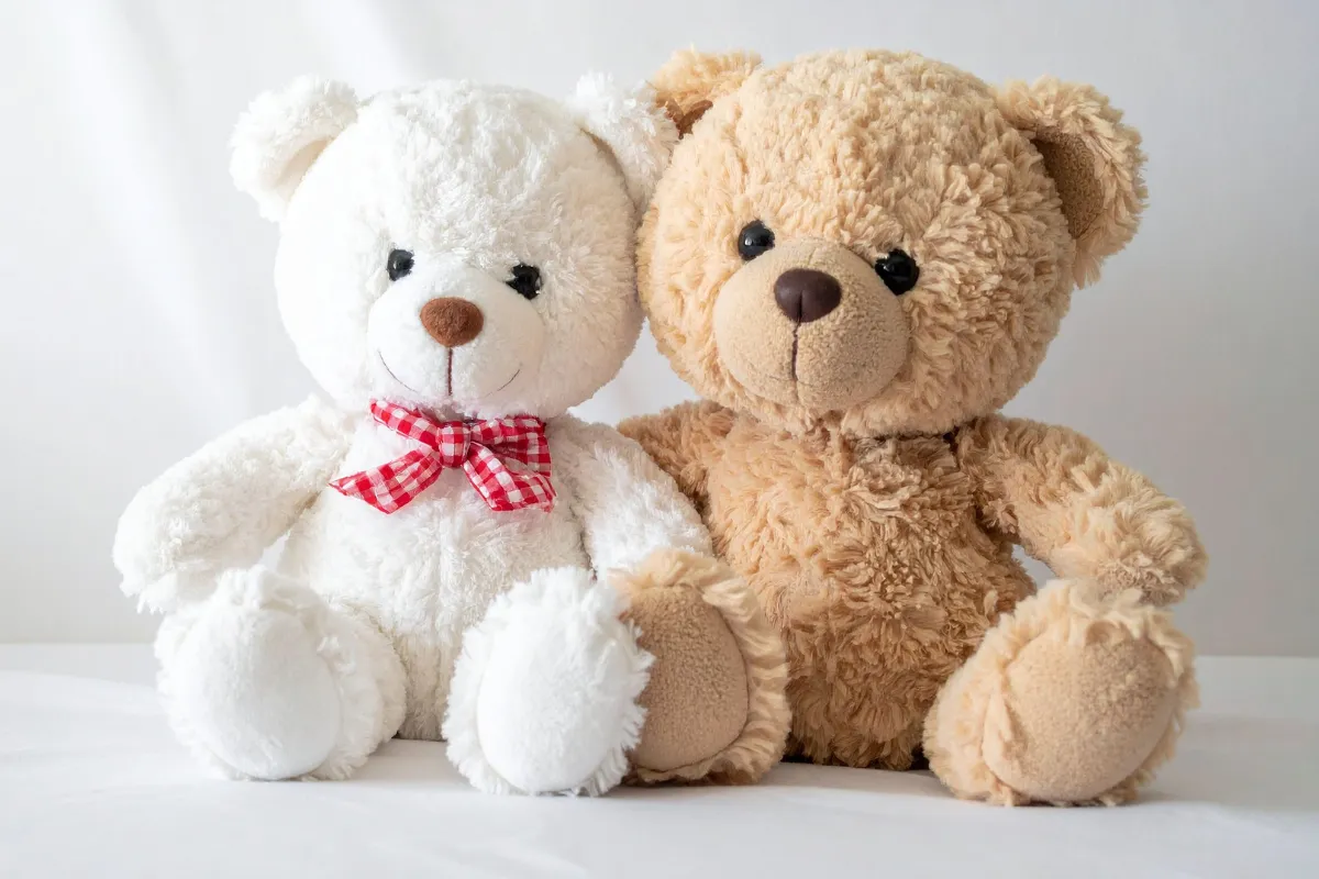 失敗しないクリーニング会社の選び方