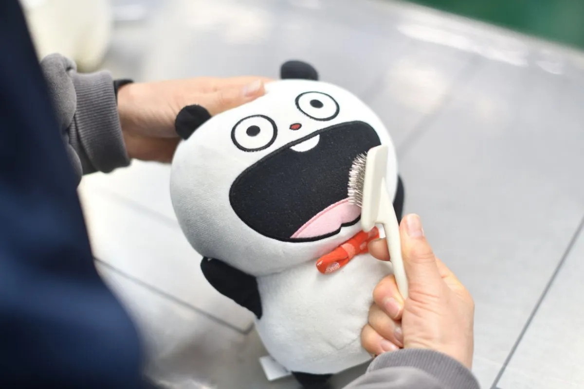 【基本の洗い方】丸洗いせずに汚れを落とす方法