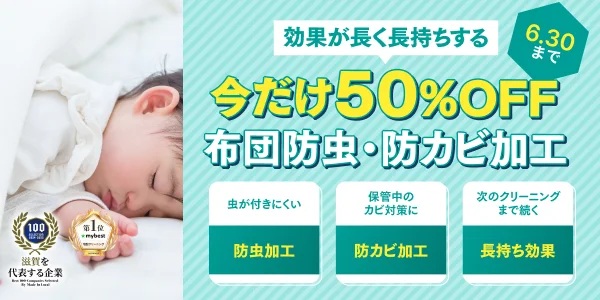 布団防虫防カビ50%OFF